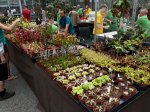 Wystawa EEE 2019 Praga - kliknij aby zobaczyć zdjęcie. Wystawa EEE 2019 Praga