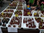 Wystawa EEE 2019 Praga - kliknij aby zobaczyć zdjęcie. Wystawa EEE 2019 Praga