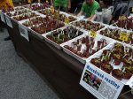 Wystawa EEE 2019 Praga - kliknij aby zobaczyć zdjęcie. Wystawa EEE 2019 Praga