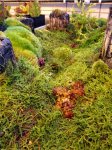 Chimanta Massif 2.0 - kliknij aby zobaczyć zdjęcie. Chimanta Massif 2.0
